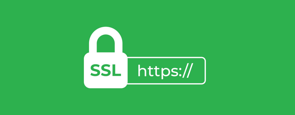 An image showing an SSL certificate